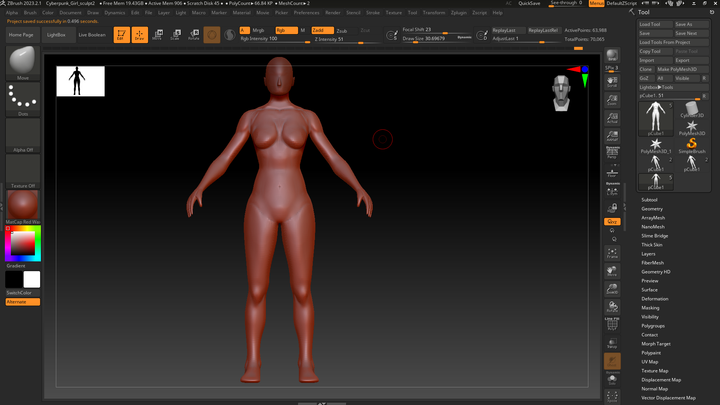 Sculpting the body